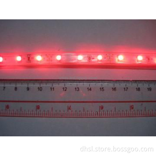 smd3528 led strip light 120pcs led per meter -1